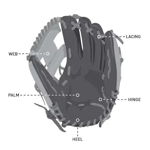 parts of the glove 