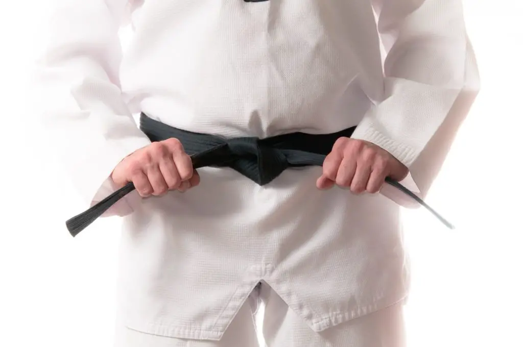 Unlocking The Mysteries Of Taekwondo Black Belt Requirements: From ...