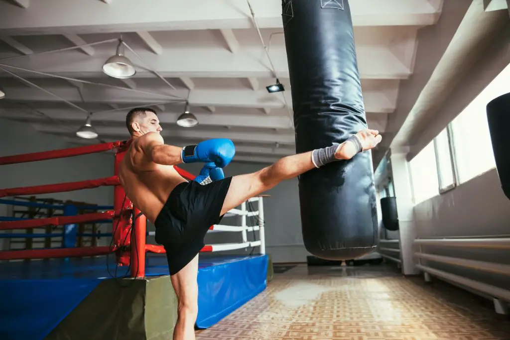 Best Free Standing Punching Bag for Muay Thai In 2023: Top Picks & Insider Tips