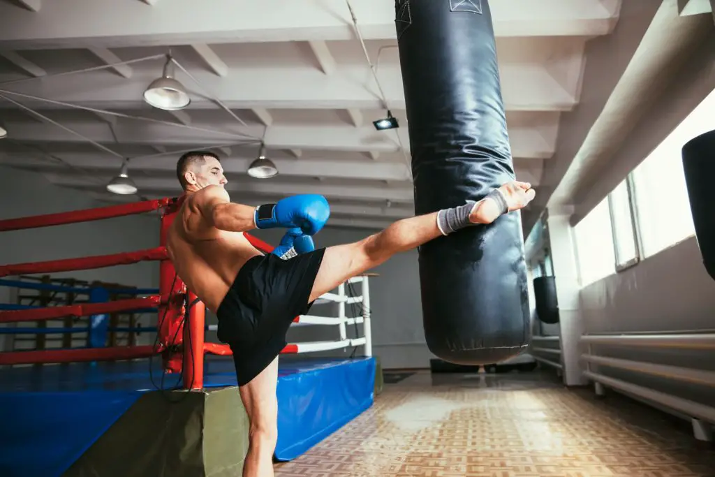 Best Free Standing Punching Bag For Muay Thai For 2023 : Top Picks ...